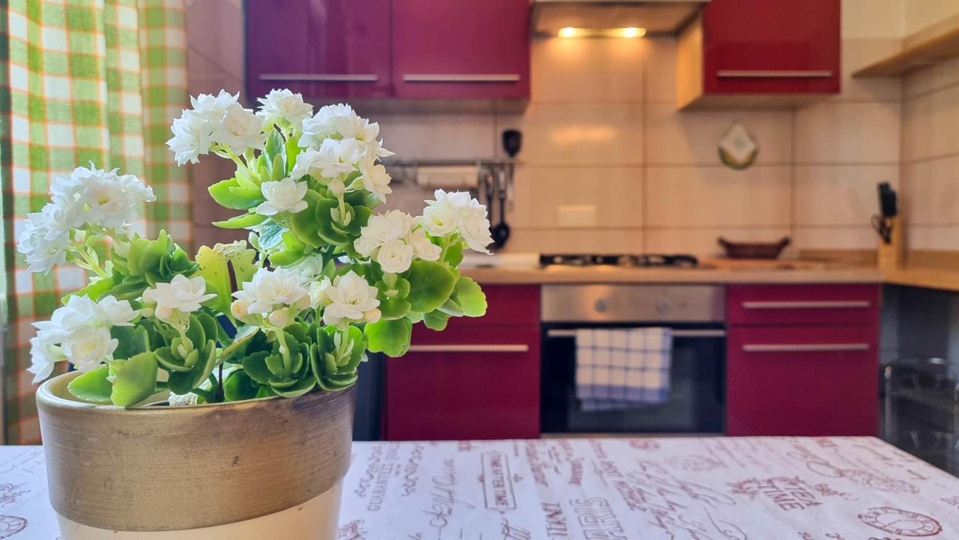 Apartment Mirjana Novigrad  Bagian luar foto