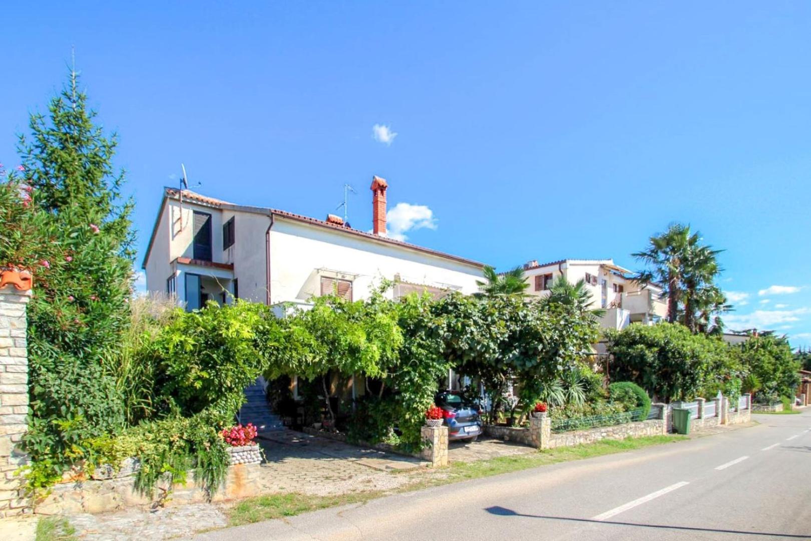 Apartment Mirjana Novigrad  Bagian luar foto
